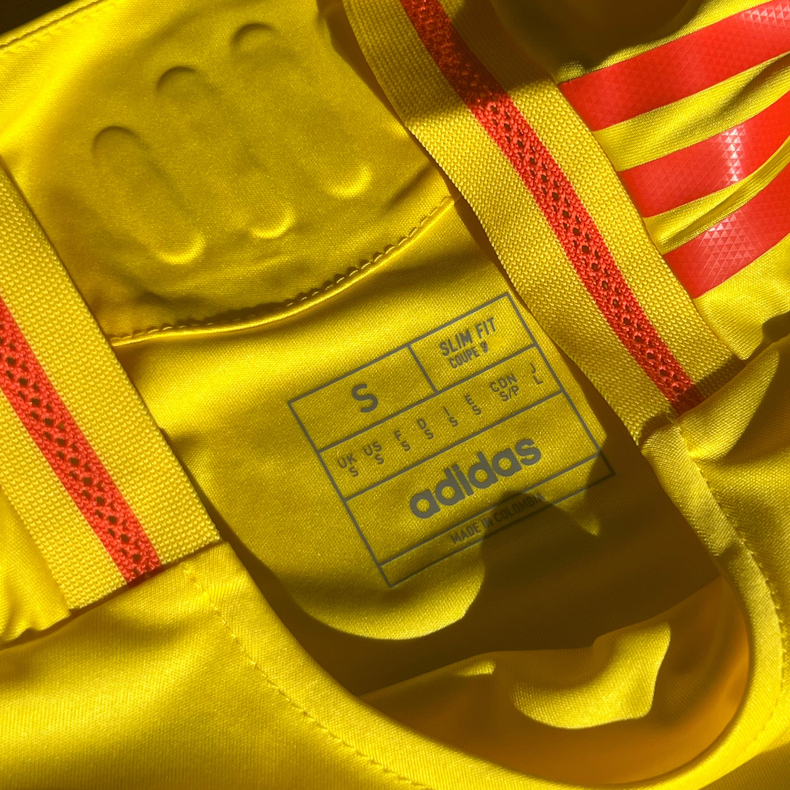 Colombia Copa America 2024 Jersey